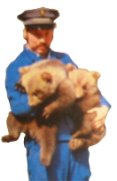 The Bear Pit Keeper